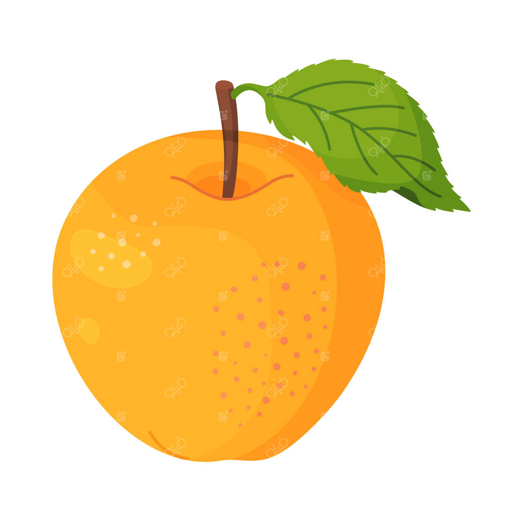 سیب زرد رسیده با برگ، میوه تازه باغ. کلیپ آرت دستی از مواد غذایی. میوه کامل با برگ سبز، به سبک ساده مجزا