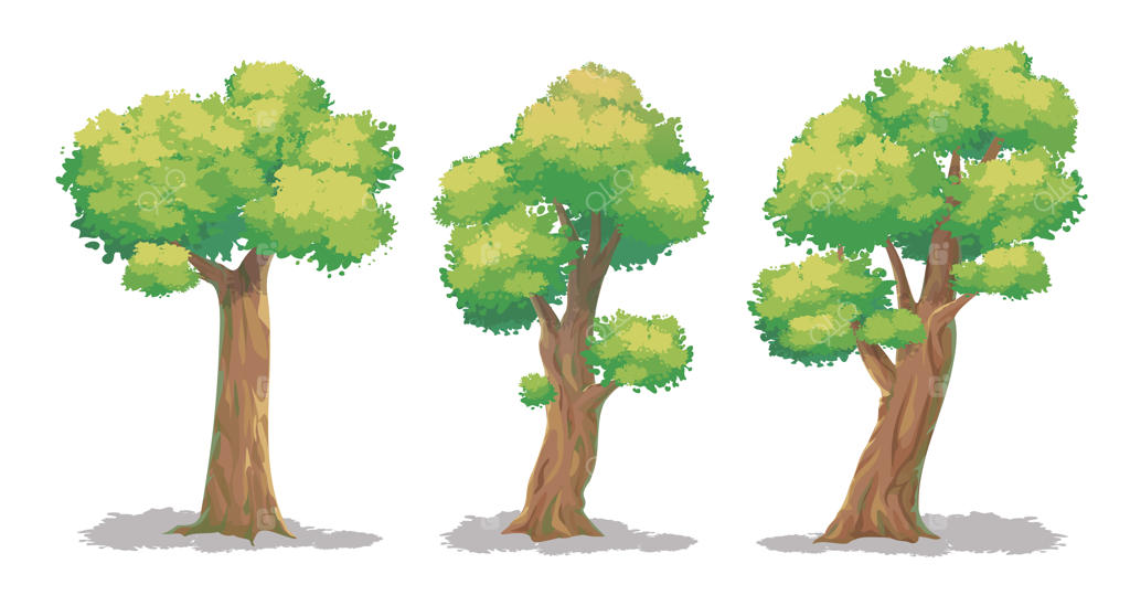 مجموعه‌ای از درختان روی پس‌زمینه سفید