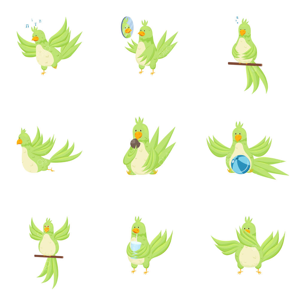 مجموعه‌ای از طوطی‌های سبز بامزه در حالت‌های روزمره مختلف. سبک تخت.