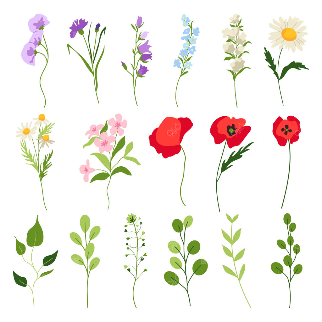 مجموعه وکتور گل‌های بهاری