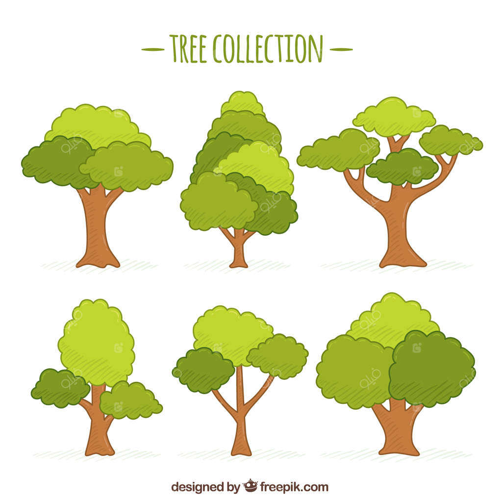 مجموعه‌ای از شش درخت طراحی شده با دست