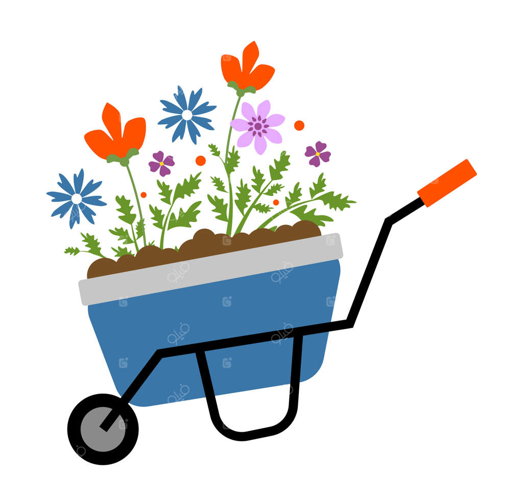 فرغونی با گل‌های بهاری روی پس‌زمینه سفید. ابزار باغبانی