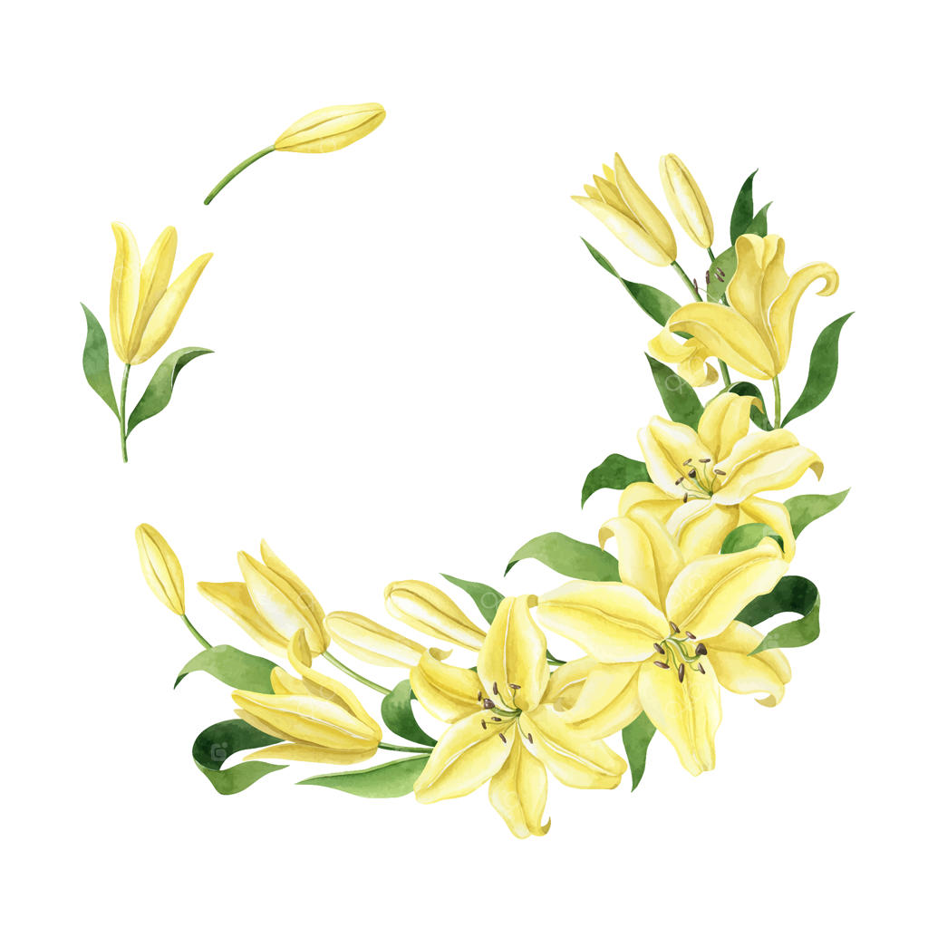 قاب گل‌های زرد لیلیوم با تصویرسازی آبرنگ و وکتور تاج گل