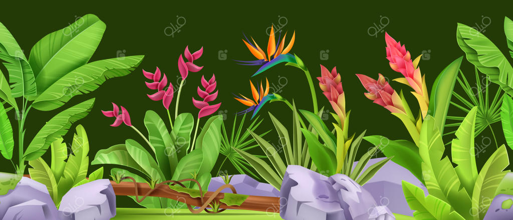 مرز یکپارچه جنگل سبز گرمسیری