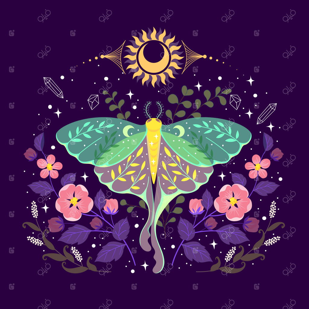 مجموعه‌ای از تصویر سرویس چای رنگارنگ