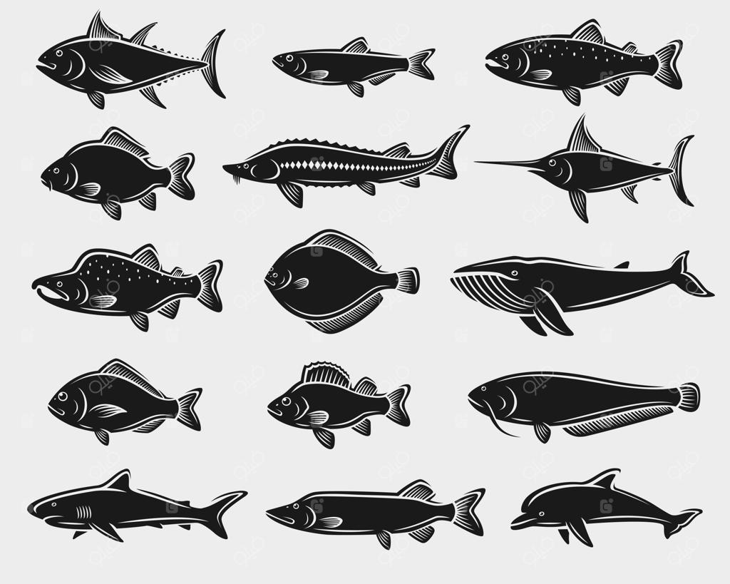 مجموعه وکتور و آیکون‌های ماهی