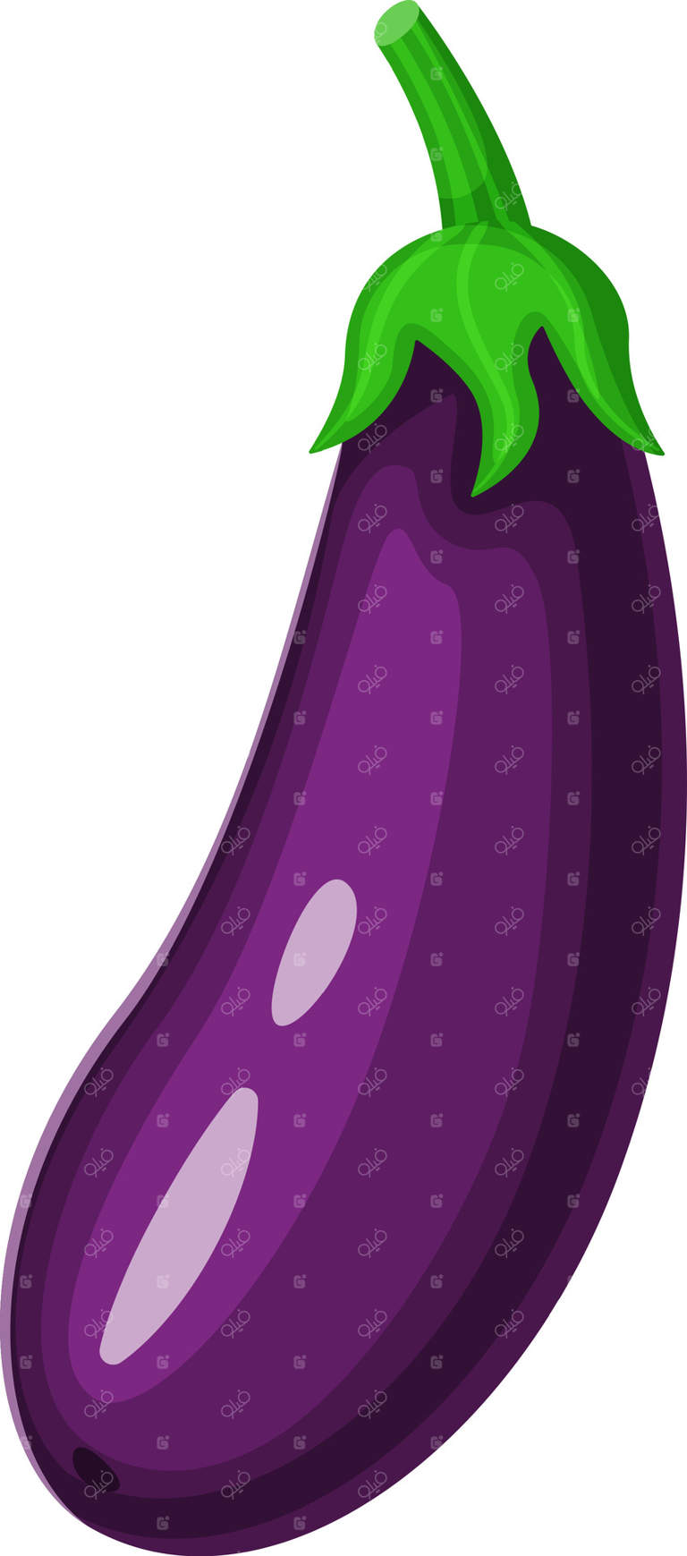 بادمجان بنفش رسیده با ساقه سبز پرجنب‌وجوش، در باغ رشد می‌کند و منتظر برداشت برای استفاده در انواعی از دستورپخت‌های خوشمزه و سالم است.