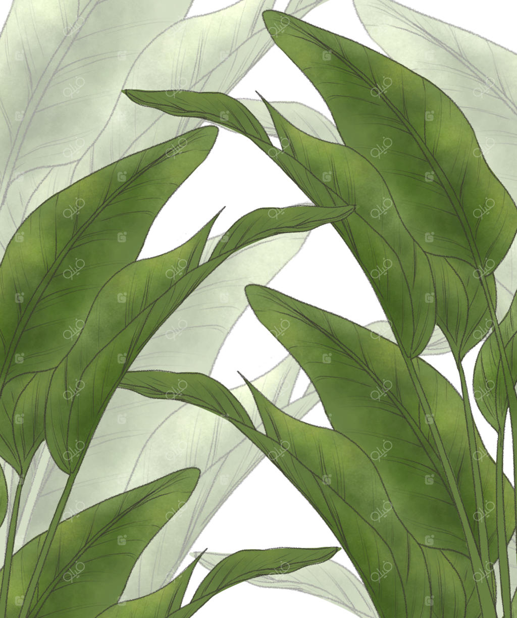 تصویرسازی دستی برگ‌های موز