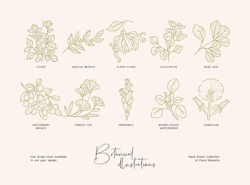 پترن لوگوتایپ هنری گیاهی از پیش آماده: شناسه‌ی برندینگ مینیمال و مدرن