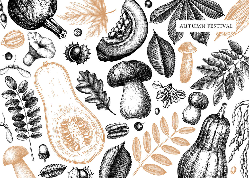 پاییز کلاسیک با طرح‌های دستی برگ‌ها، کدو تنبل، توت‌ها و قارچ‌ها. ایده‌آل برای دعوت‌نامه، کارت‌ها، بروشورها، منو، برچسب‌ها و بسته‌بندی.