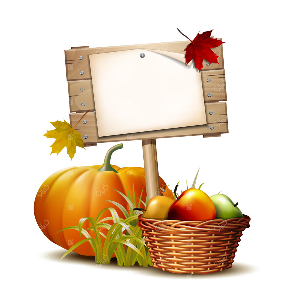 تابلوی چوبی با کدو تنبل نارنجی، برگ‌های پاییزی و سبدی پر از سیب‌های رسیده. جشن برداشت پاییز و روز شکرگزاری. سبزیجات سازگار با محیط زیست.