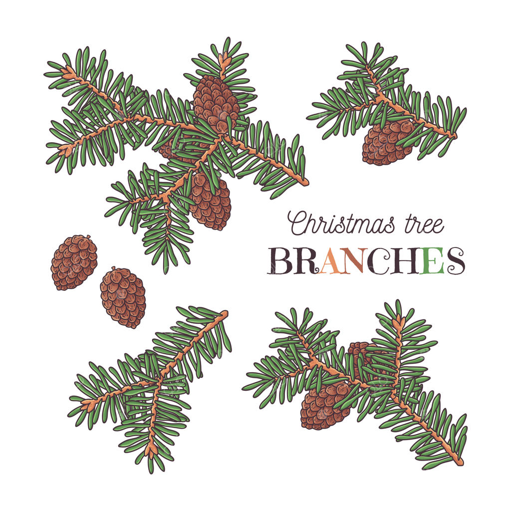 شاخه‌های درخت کریسمس