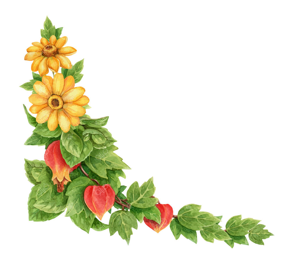 چیدمان شاخه عبوچیرون با گل زرد هلیانتوس در گوشه تابستانی. نقاشی آبرنگ هنری گیاهی. عنصر گرافیکی گلی مناسب برای قالب کارت گیاهی و طراحی فصل تعطیلات.