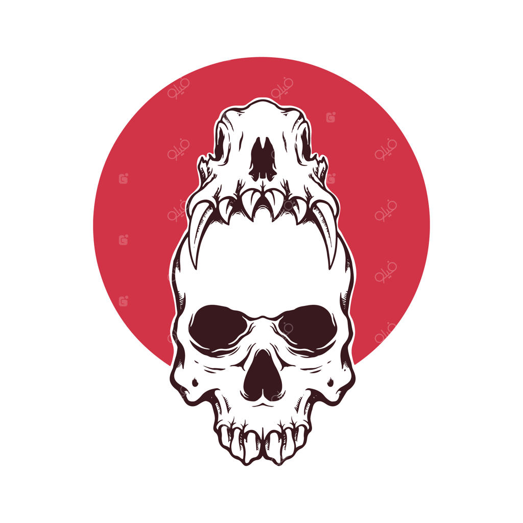 تصویرسازی استخوان جمجمه