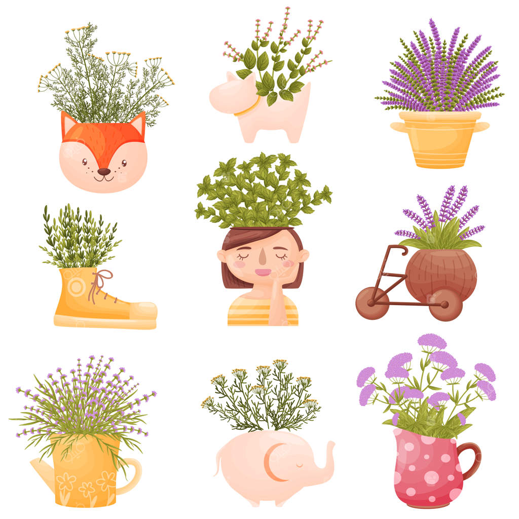 مجموعه‌ای از تصاویر گل‌های وحشی در گلدان‌ها و کوزه‌های زیبا.