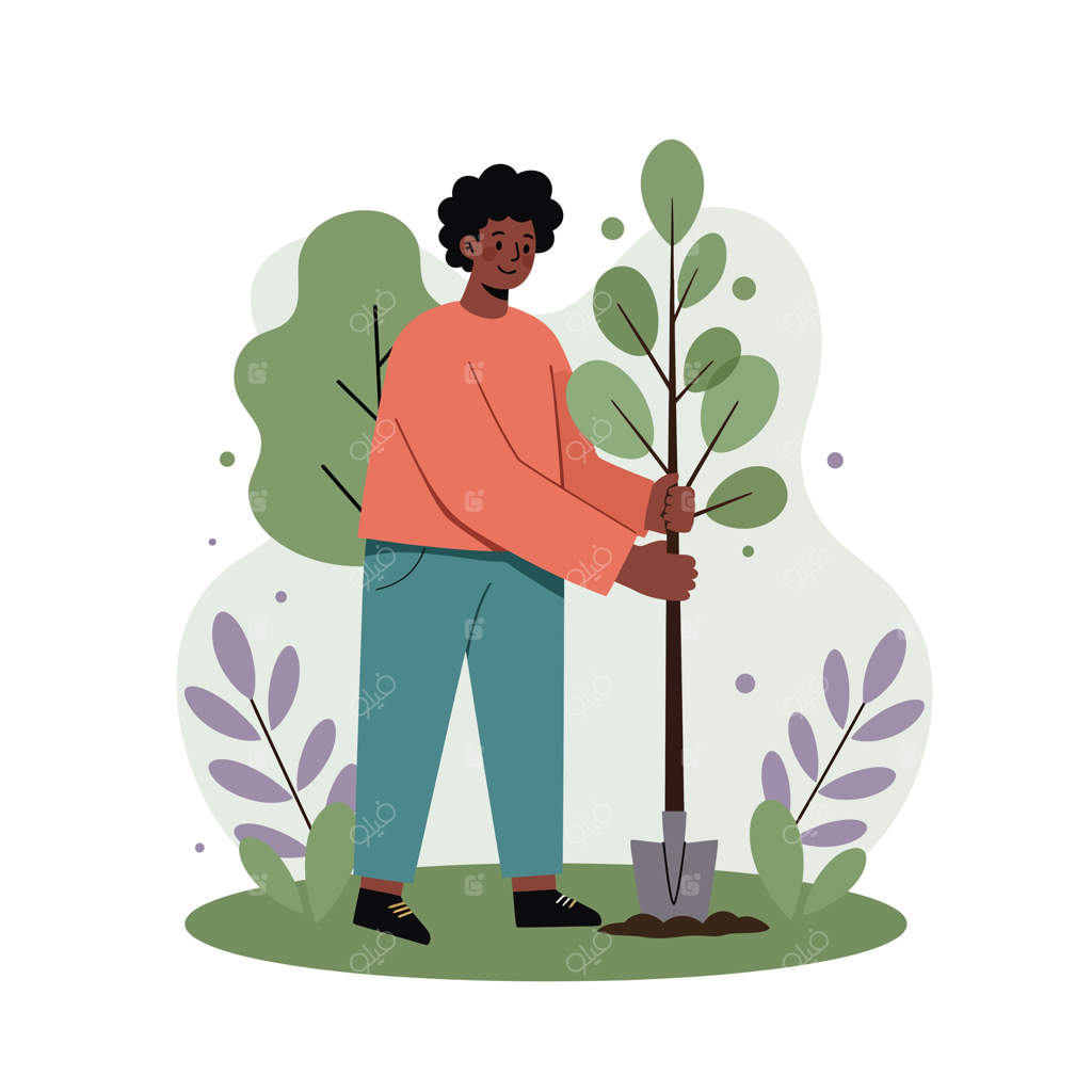 کاشت نهال جوان در باغ با شاخ و برگ سبز و گیاهان بنفش در پس‌زمینه