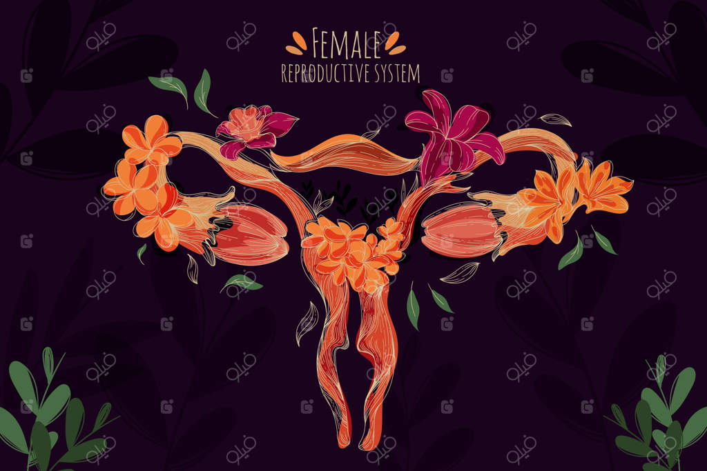 سیستم تولید مثل زنانه با گل‌ها