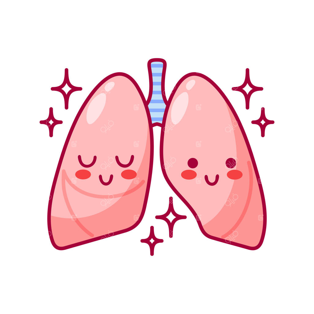 ریه‌ها؛ شخصیت‌های کارتونی بامزه به سبک کاوایی. تصویرسازی فلت از عضو سالم 