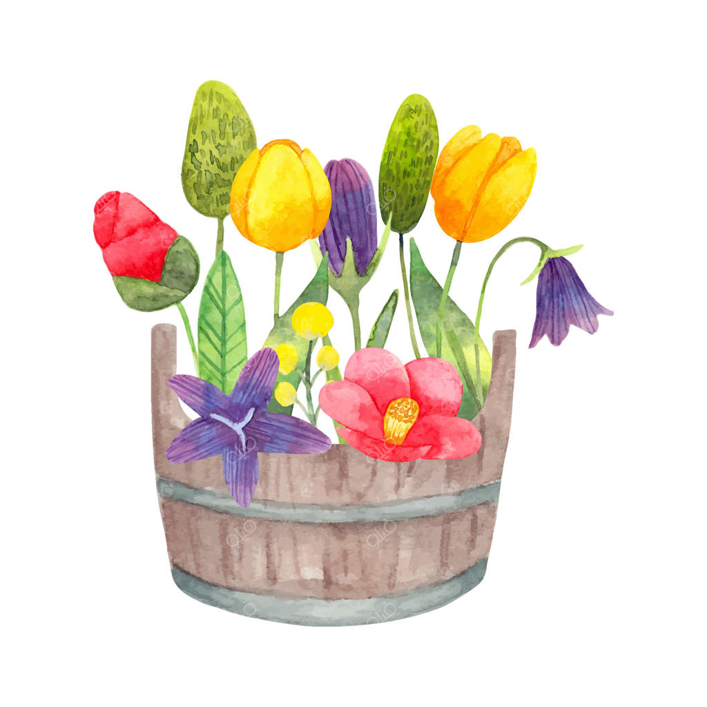 سطل چوبی با گل‌های باغچه: ترکیب گیاهان بهاری برای عید پاک. تصویرسازی آبرنگی ساده و دکوری فصلی با لاله، خار و گل استکانی. اثر دست کشیده و هنری