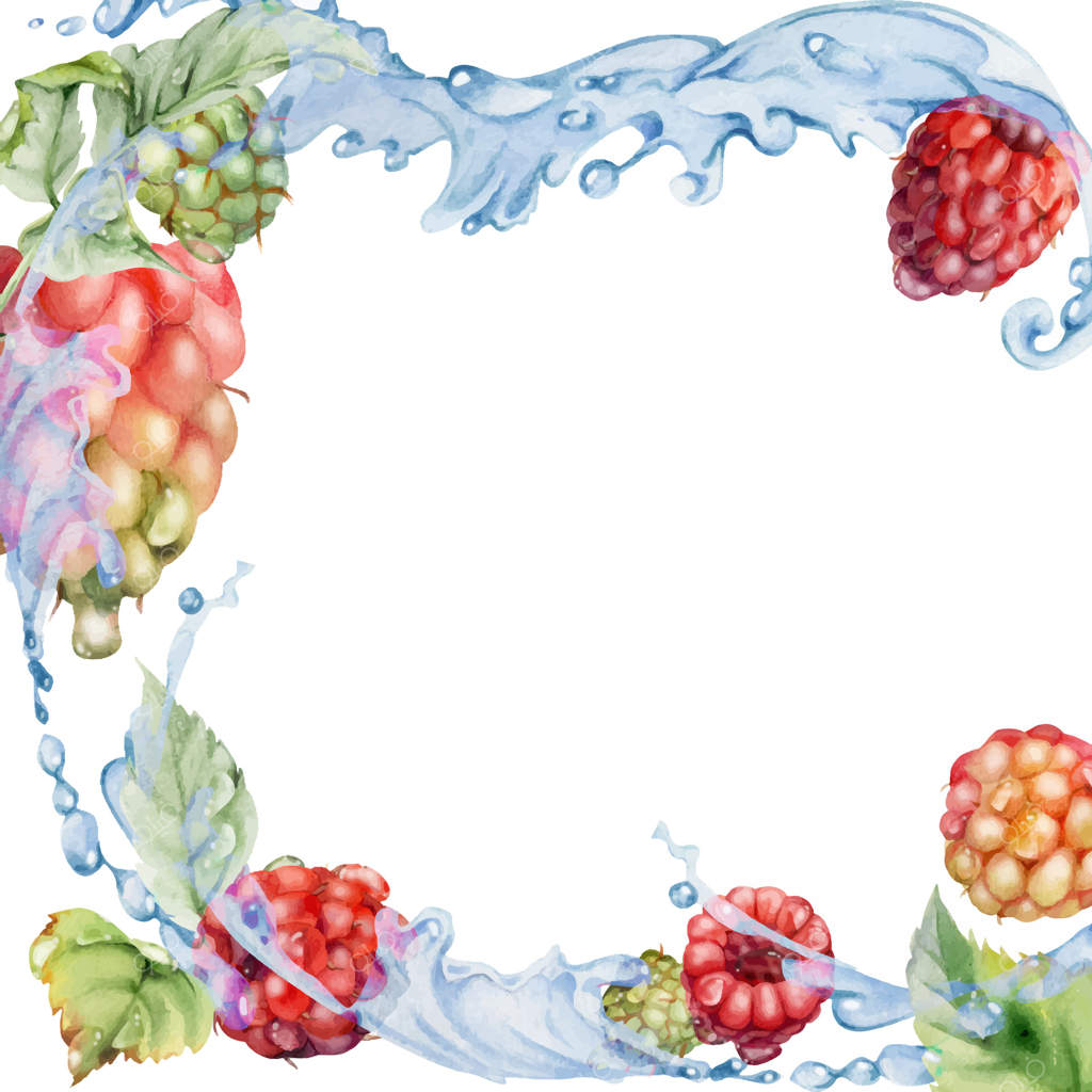 برگ‌های توت‌فرنگی در میان قطرات شبنم، پاشیدن آب، توت‌های رسیده باغی، تمشک، چتر تمشک، شاه‌توت، و تمشک لوگن به صورت دستی با آبرنگ نقاشی شده‌اند. حاشیه مربع با گوشه‌های متقارن. دفترچه یادداشت بازار کشاورزان