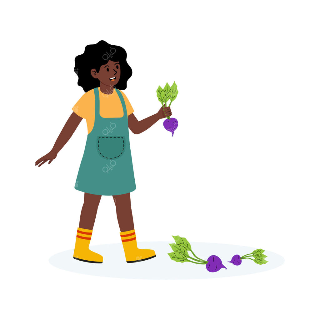 برداشت تربچه توسط کودک در باغ در یک روز آفتابی