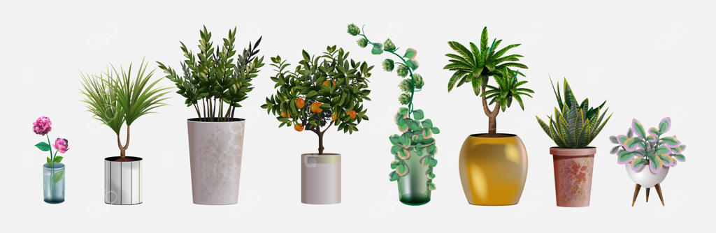 مجموعه‌ای از گیاهان طبیعی و واقعی برای طراحی داخلی و دکوراسیون فضاهای خانگی و اداری. گیاهان و گل‌های گرمسیری و مدیترانه‌ای برای دکوراسیون داخلی منزل یا محیط کار