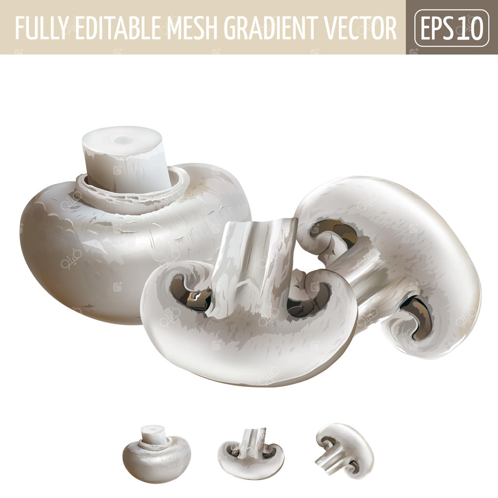 تصویر قارچ شامپاین بر روی زمینه سفید