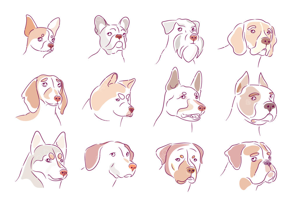 مجموعه سگ و ست توله سگ