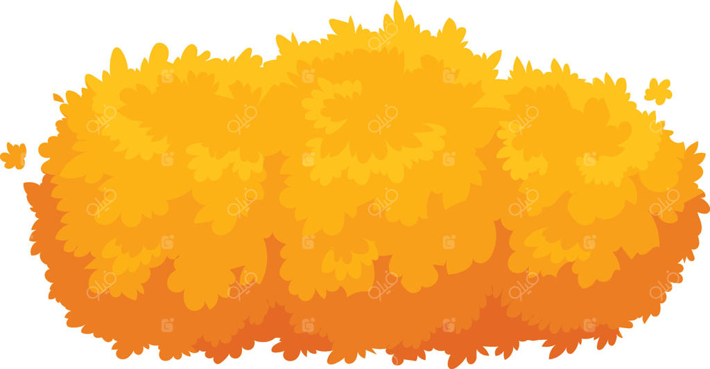 بوته با برگ‌های نارنجی درخشان: مانع طبیعی و بافت رنگارنگی برای طراحی باغ یا محوطه‌سازی اضافه می‌کند.