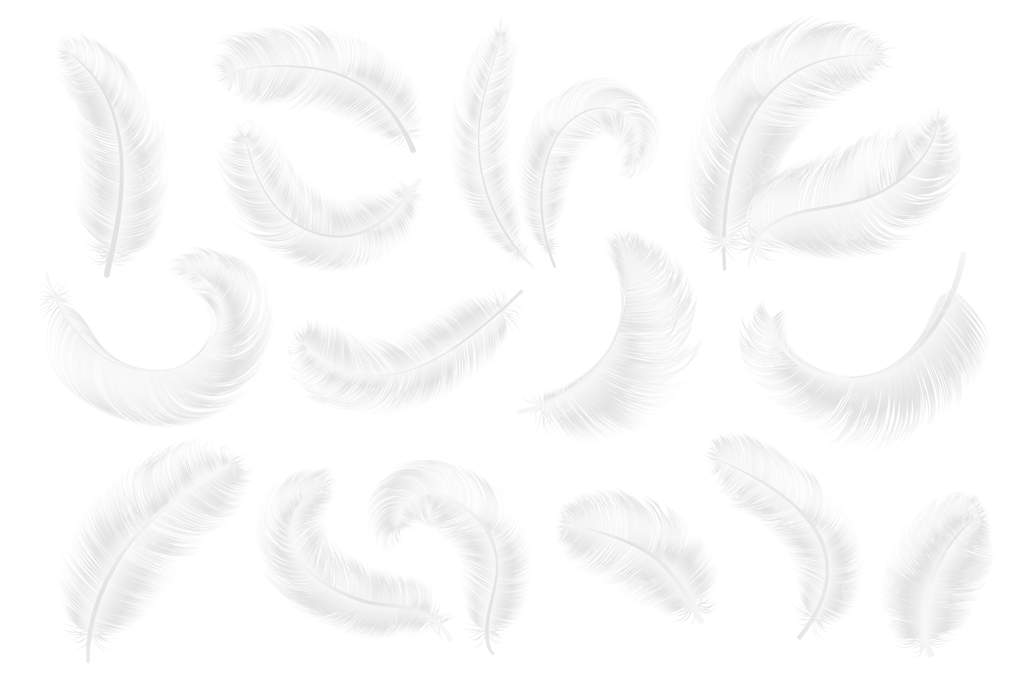 پرهای سفید: پرهای واقعی فرشته، غاز یا قو در حالت سه‌بعدی. مجموعه‌ای از پرهای سبک و شناور