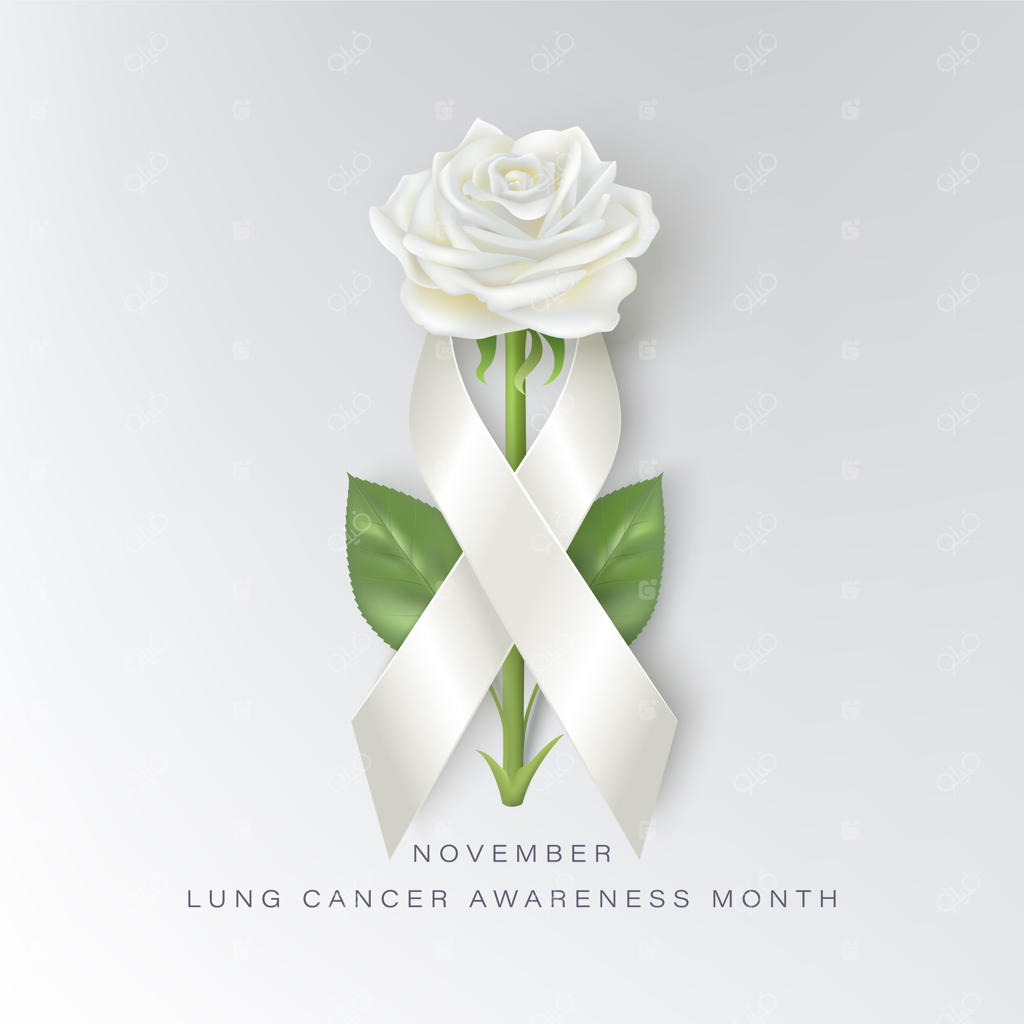 مفهوم ماه آگاهی از سرطان ریه با روبان سفید و گل رز. نوامبر، ماه آگاهی از سرطان ریه
