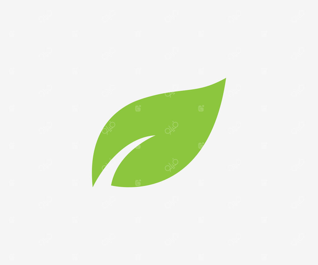 قالب وکتور طرح لوگو برگ سبز طبیعی