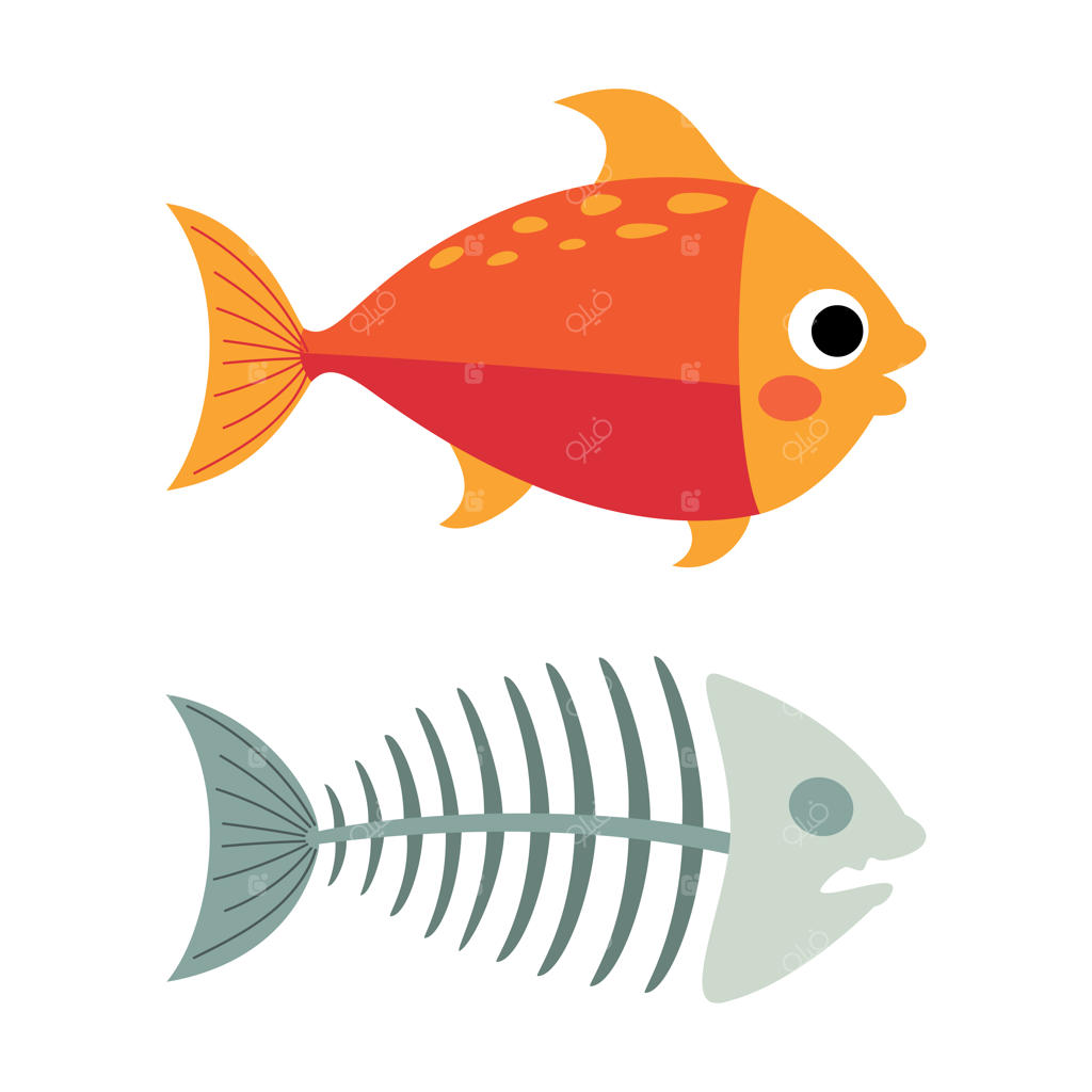 طراحی کارتونی از استخوان ماهی