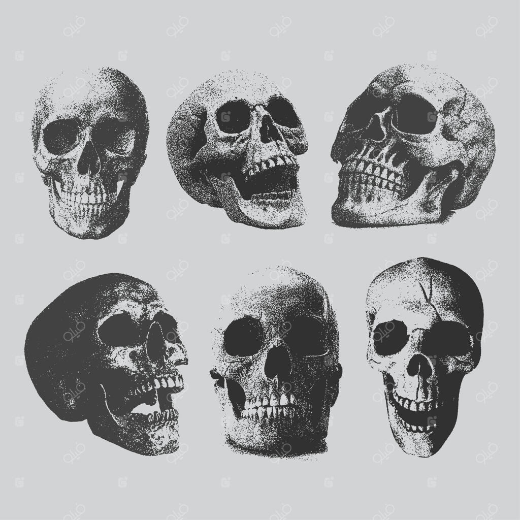 جمجمه با افکت فتوکپی دانه‌درشت و تک‌رنگ برای طراحی کلاژ گرانج، پانک و وای‌تو‌کی