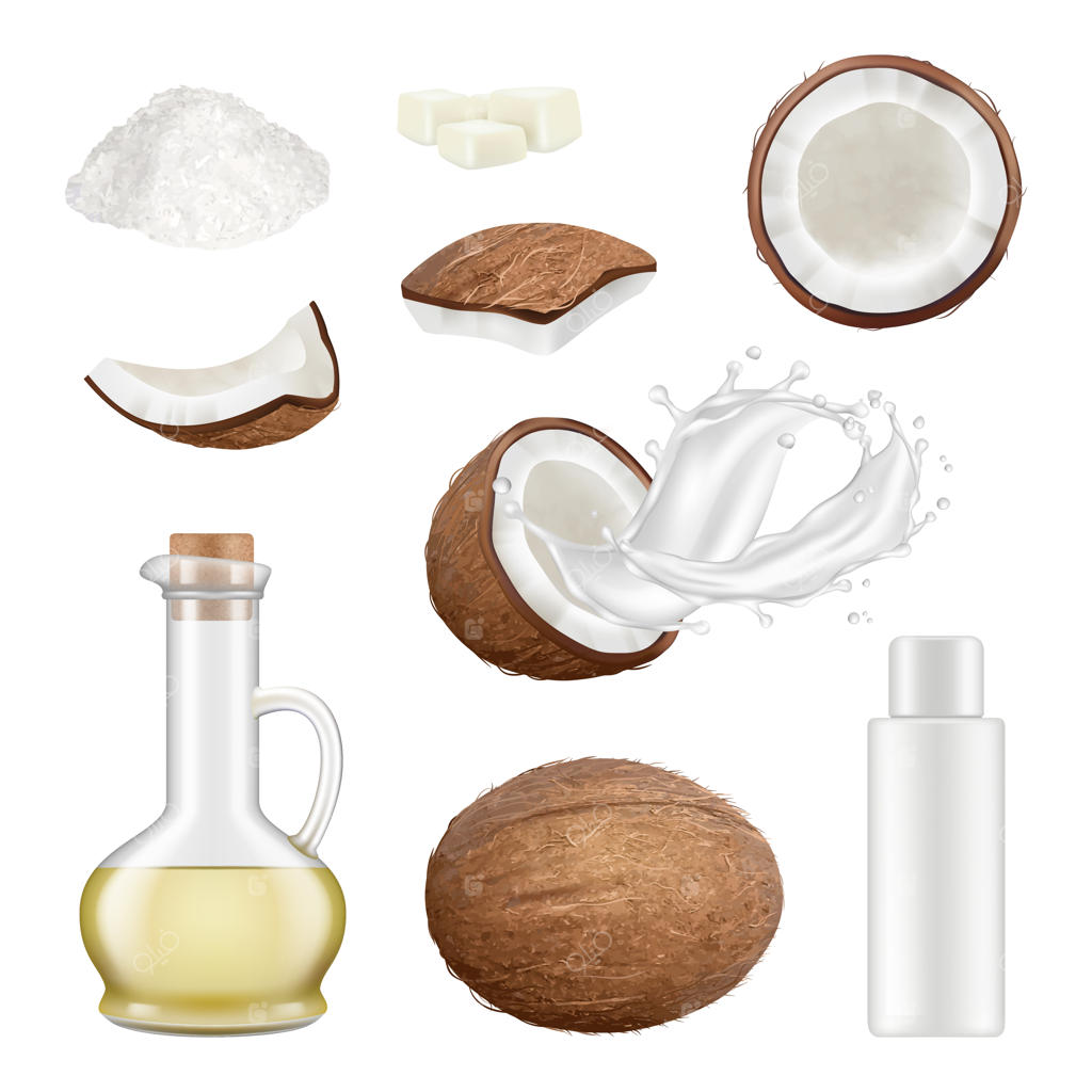 نارگیل واقعی: درخت نخل گرمسیری و مواد غذایی مناطق استوایی. نوشیدنی شیر و مواد تازه نارگیل، شیر نارگیل ارگانیک