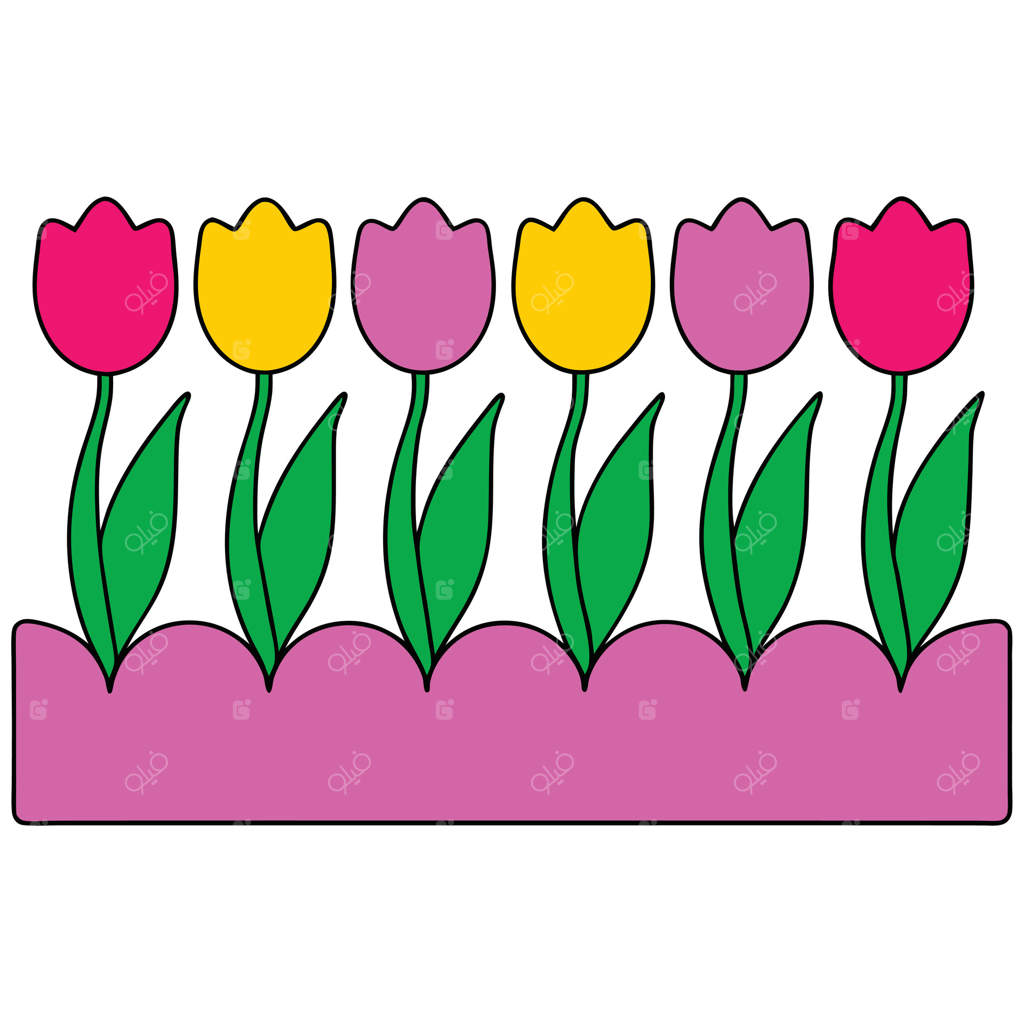 ردیفی از گل‌های لاله رنگارنگ در باغچه بهاری در حال شکوفه دادن