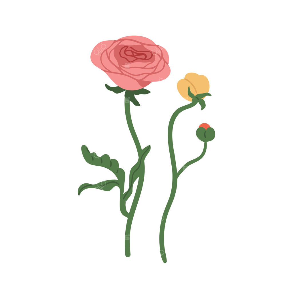 گل‌های دل‌فریب آلاله با غنچه‌های شکوفا و ناشکفته. عناصر گیاهی و گل‌ها. تصویرسازی تخت و رنگارنگ.