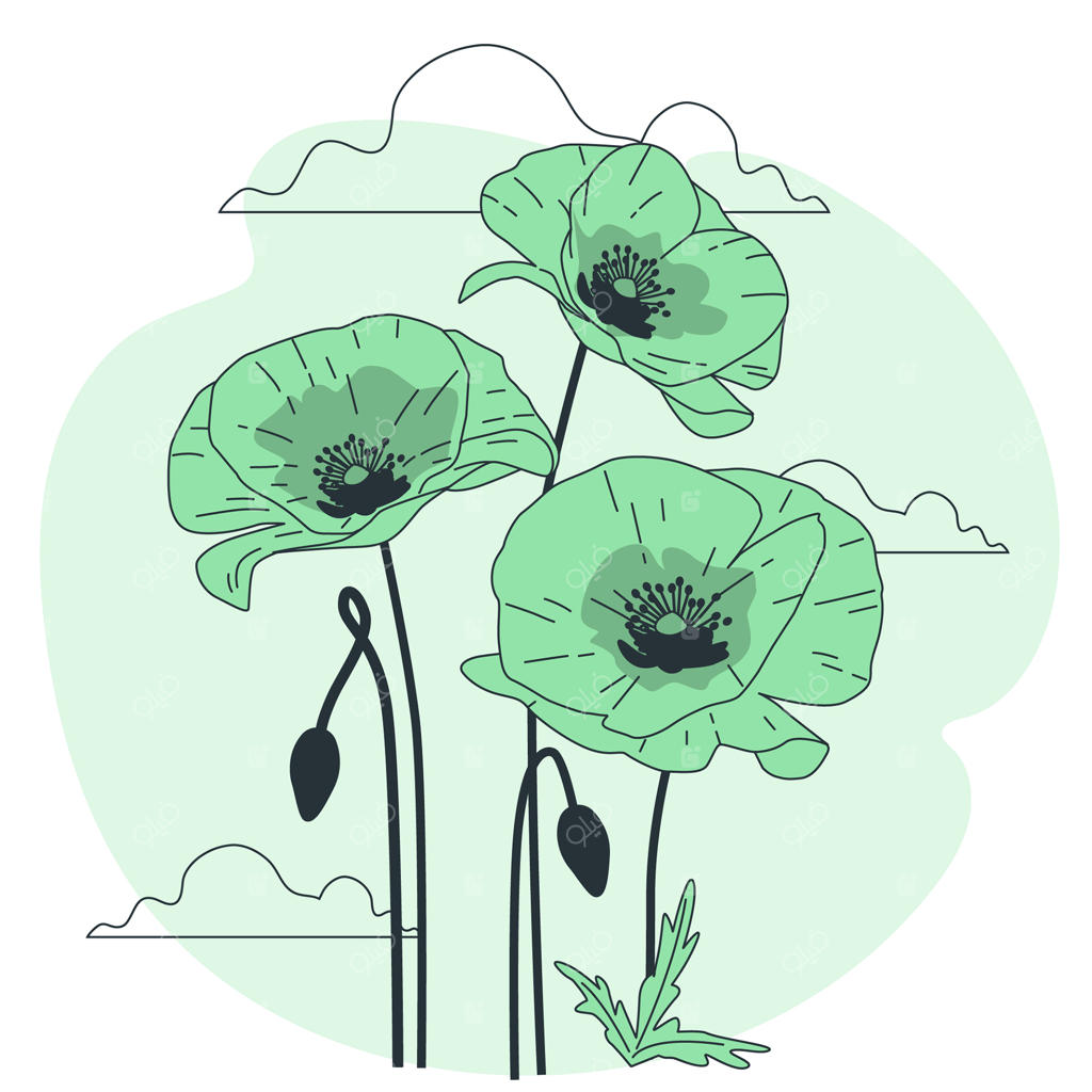 تصویرسازی مفهومی گل شقایق