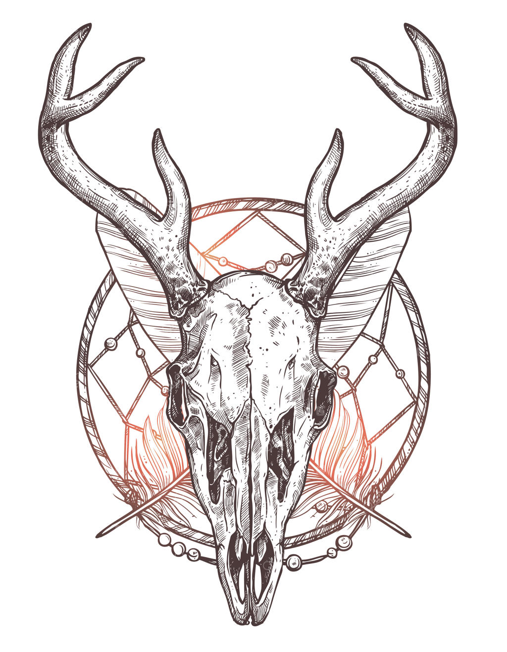 طرح جمجمه گوزن بر روی کاغذ سفید