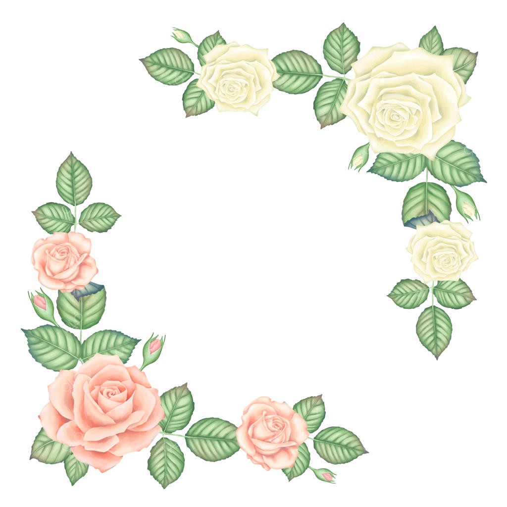 مجموعه قاب‌های گل سرخ صورتی و سفید کلاسیک