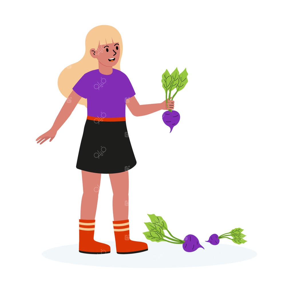 دختری جوان در حال برداشت تربچه‌های بنفش در باغی پرطراوت در یک روز آفتابی