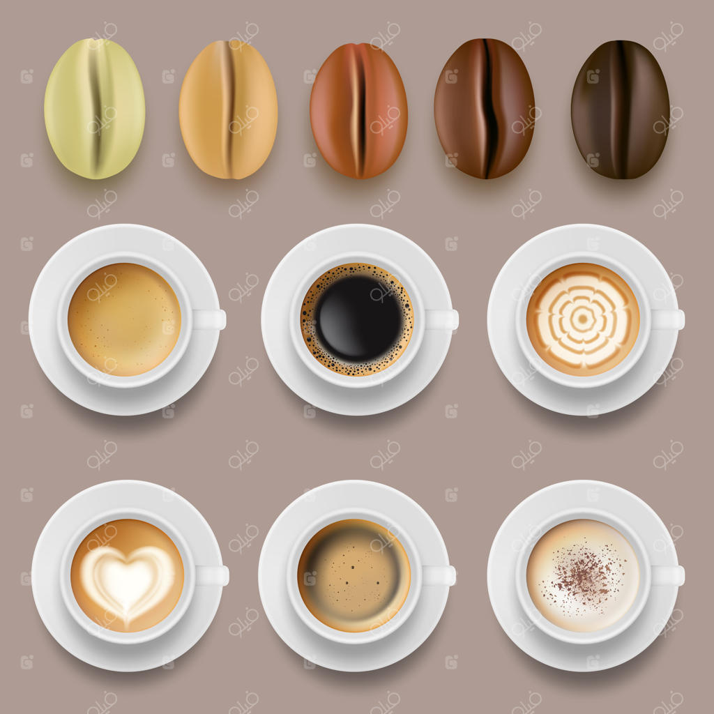 دانه‌های قهوه و فنجان‌ها: مجموعه‌ای از نوشیدنی‌های داغ و قهوه عربیکا وکتور کشاورزی.