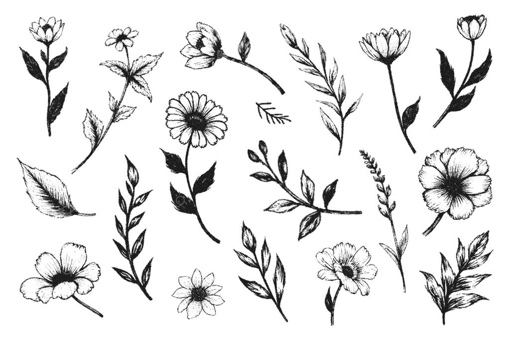 مجموعه‌ای از گل‌ها، برگ‌ها و شاخه‌ها به سبک نقطه‌ای. مجموعه‌ای شیک و قدیمی از طرح‌های گیاهی دست‌کشیده برای طراحی و تزئین.