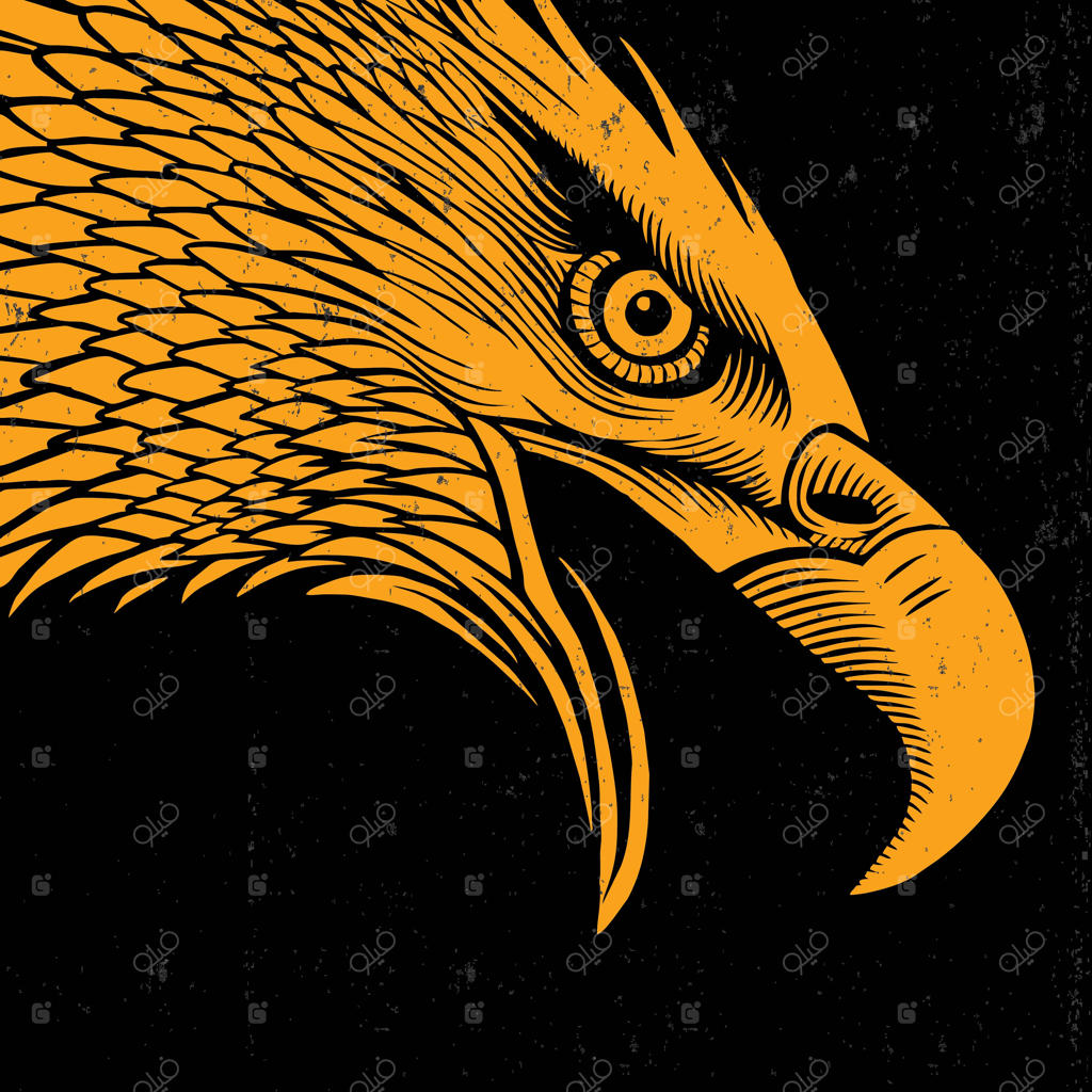 وکتور سر عقاب