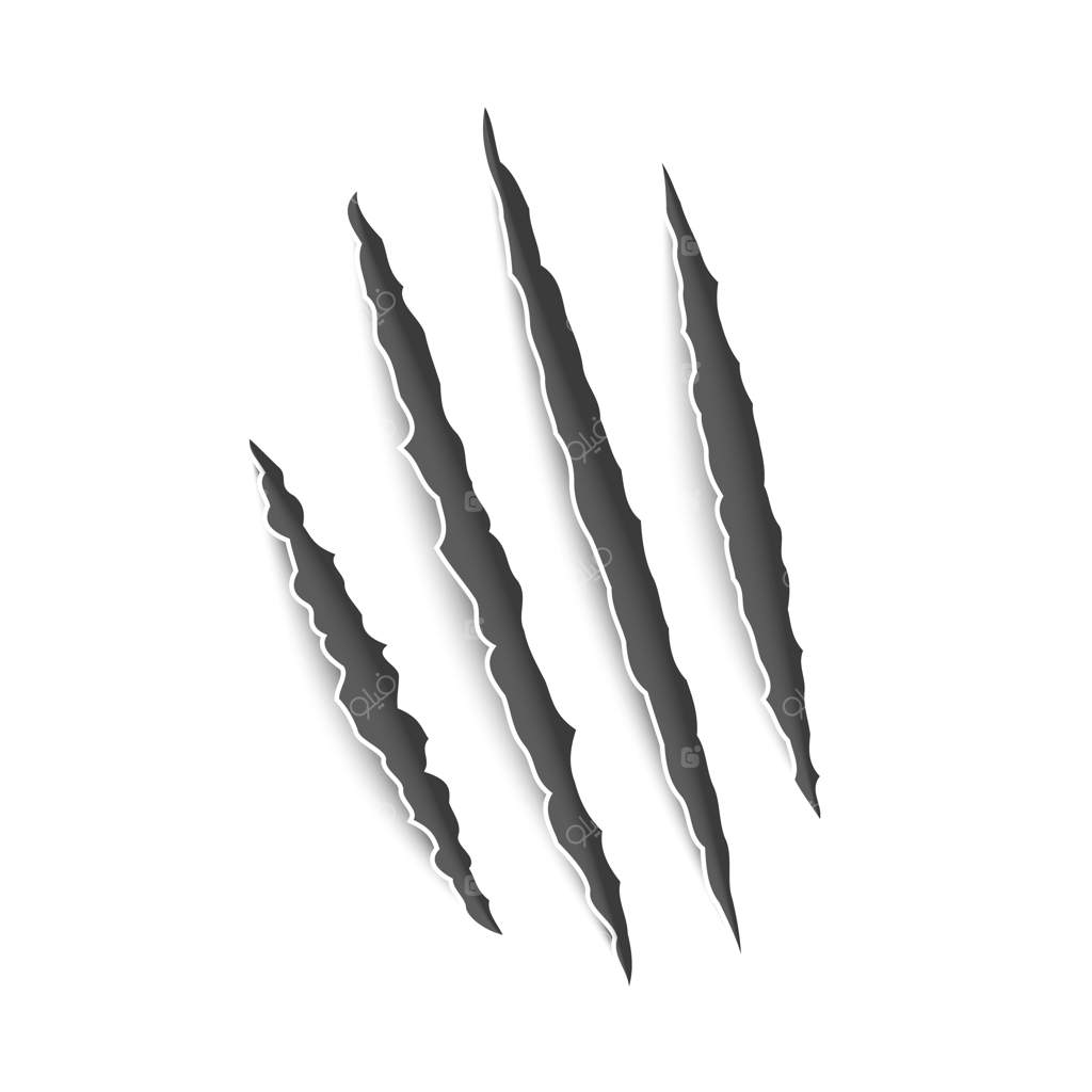 جای پنجه‌ها: خراش‌های واقعی پنجه گربه، ببر، شیر وحشی و خرس - آثار حمله، نماد هیولا در هالووین، مجموعه دکوراسیون وکتور مجزا