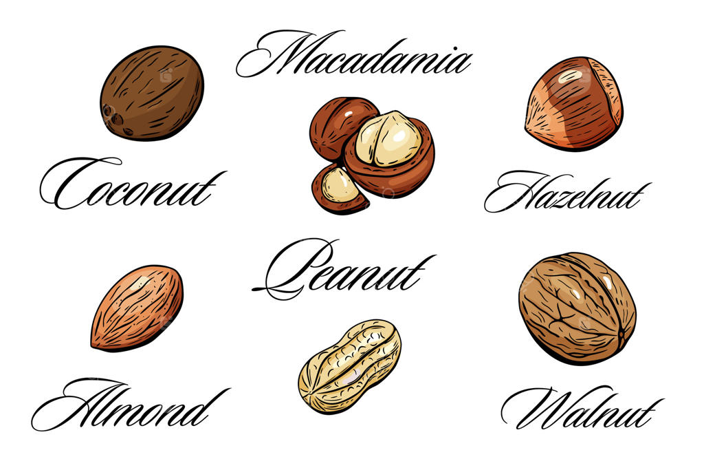 انواع مختلف آجیل با نام‌ها و برچسب‌های زیبا و شکیل