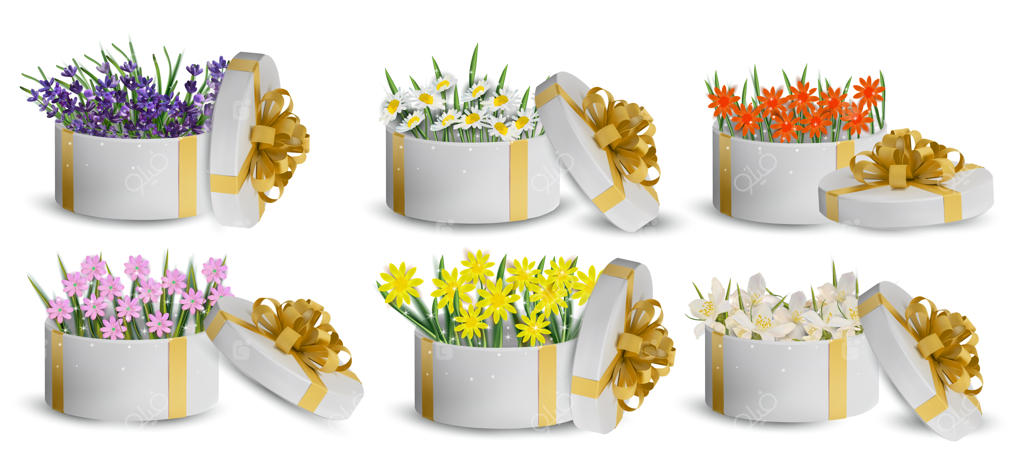 مجموعه گل‌ها در جعبه هدیه: اسطوخودوس، بابونه و یاسمن. تصویرسازی.