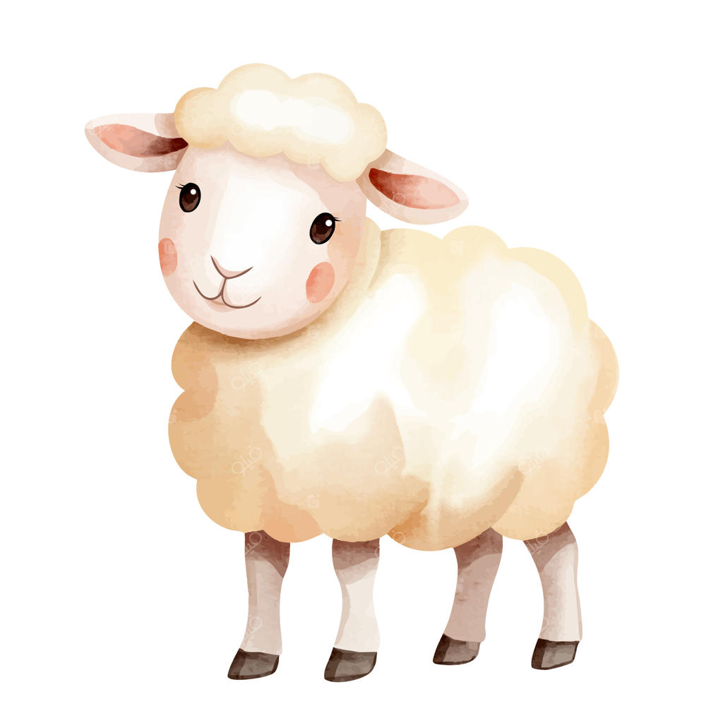 گوسفندهای بامزه به سبک آبرنگ. حیوانات مزرعه نقاشی دستی. گوسفند آبرنگی