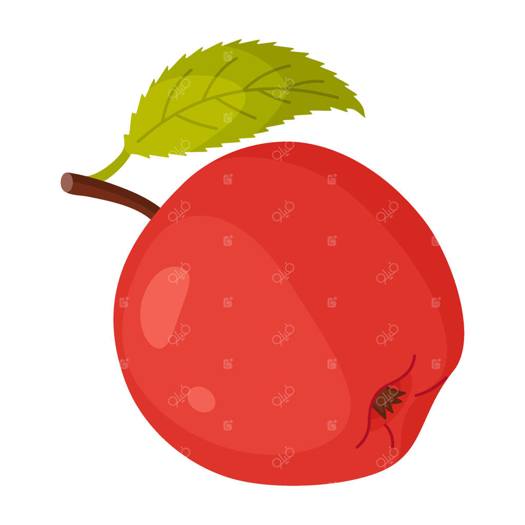 سیب سرخ رسیده با برگ، میوه تازه باغ. کلیپ‌آرت دستی از غذا. میوه کامل با برگ سبز، تصویر ساده و ایستا