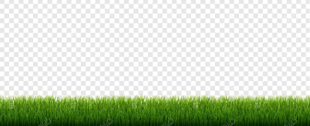 مرز چمن سبز با پس‌زمینه شفاف و مجزا